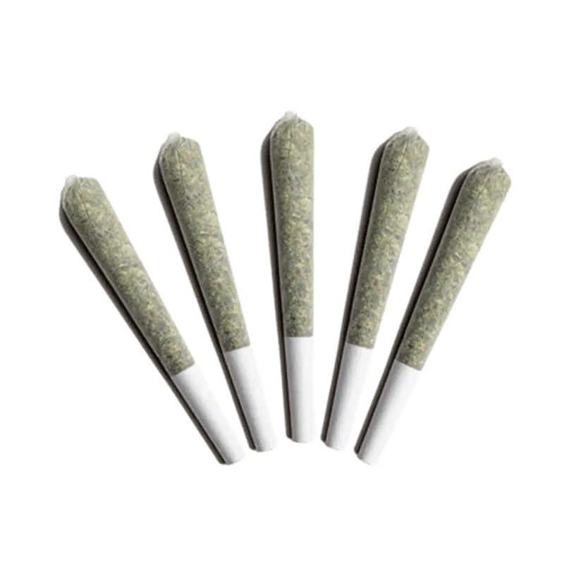 A close-up view of five Gladstone Gumbo Pow Pre Rolled 0.5g pre-rolls aligned on a white background.