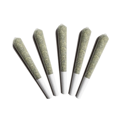 A close-up view of five Gladstone Gumbo Pow Pre Rolled 0.5g pre-rolls aligned on a white background.