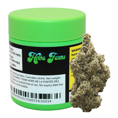 Herba Farms 3.5 g Crème de la Fleur Flower