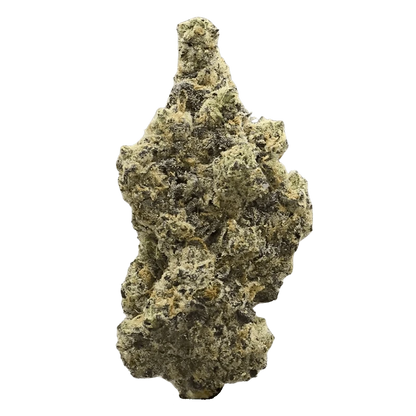 Herba Farms 3.5 g Crème de la Fleur Flower