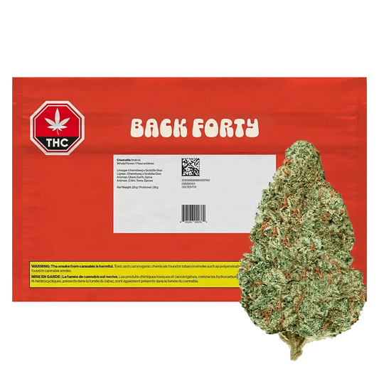 Chemzilla packaging displays a vibrant green THC logo against a black background, showcasing product information.
