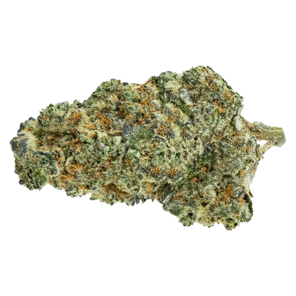 Close-up of the Big White bud, displaying dense, textured flower against a neutral background.