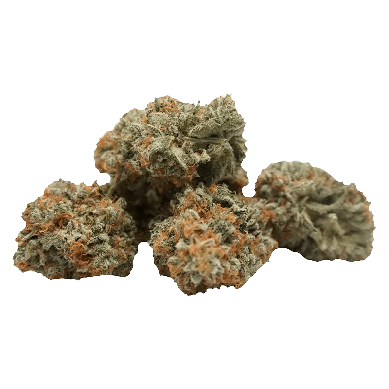 Close-up of the Lemon - Up bud showcasing a dense, textured surface with a mix of green and golden hues.