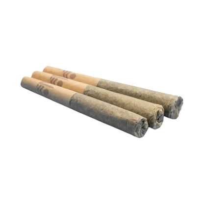 A close-up, angled view of three Lemon Gelato Pre Rolled 0.5 g pre-rolls against a plain white background.