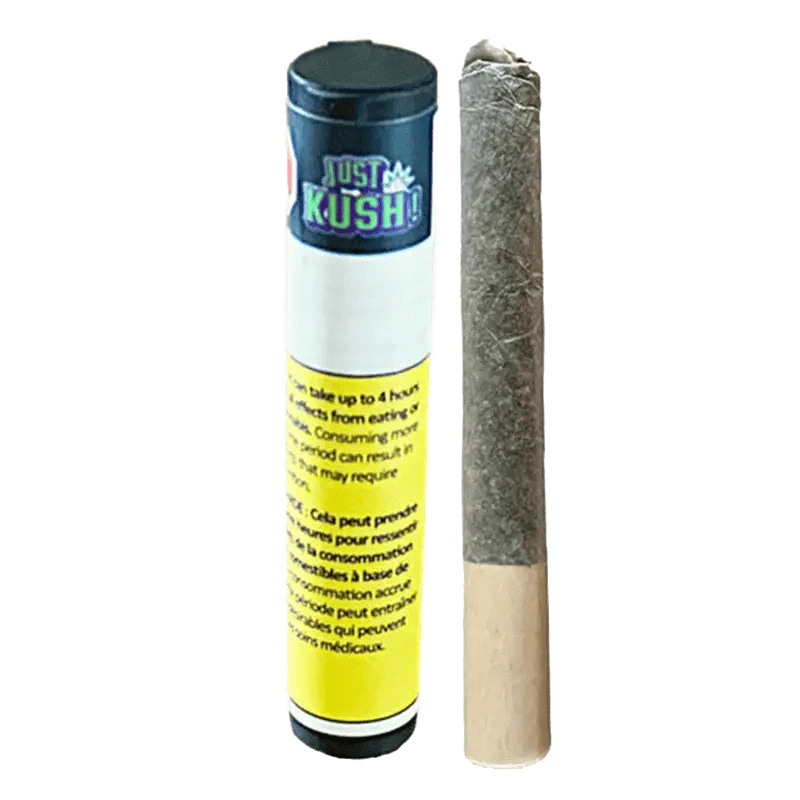 Front view of the Heaviez GCG Pre Rolled 1 x 2 g pre-roll, showing its cylindrical shape and branded packaging in a studio setting.