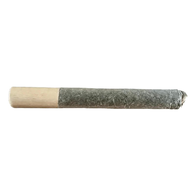 Front view of the Heaviez GCG Pre Rolled 1 x 2 g pre-roll, showing its paper wrapping and cylindrical form.