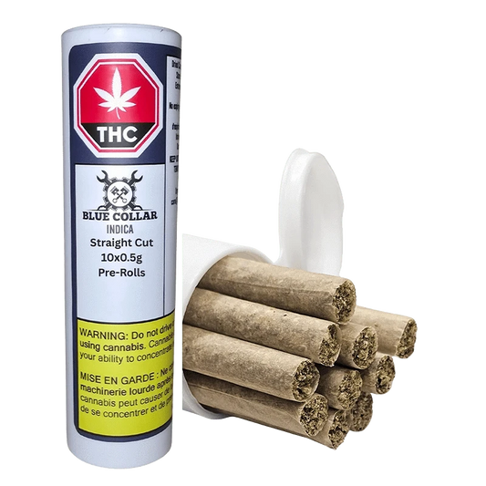 Blue Collar 5 g Indica Straight Cut PR 10 x 0.5 g Pre-Rolls