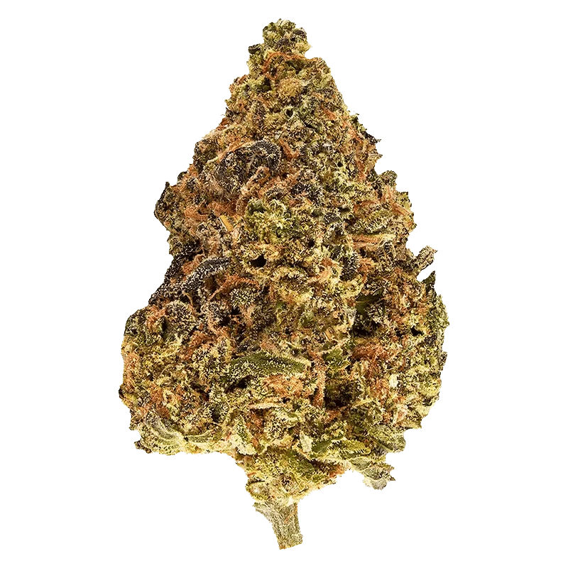 Close-up view of the Blueberry Muffinz, showcasing a rounded, textured surface against a plain white background.