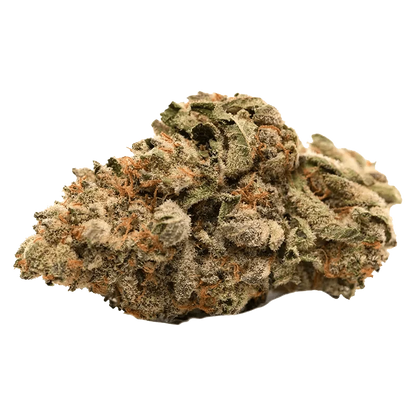 Close-up view of the Grease Monkey bud, showcasing its dense, textured surface against a plain white background.