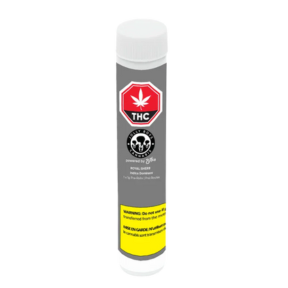 Jolly Boys 1 g Royal Sherb PR 1 x 1 g Pre-Rolls