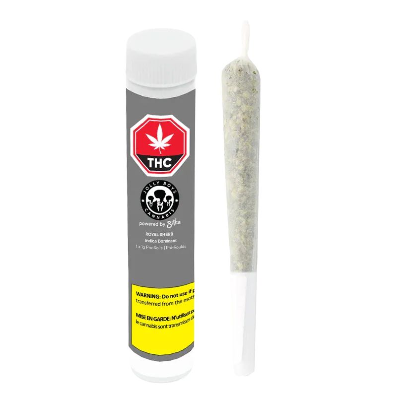 Jolly Boys 1 g Royal Sherb PR 1 x 1 g Pre-Rolls