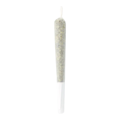 Jolly Boys 1 g Royal Sherb PR 1 x 1 g Pre-Rolls