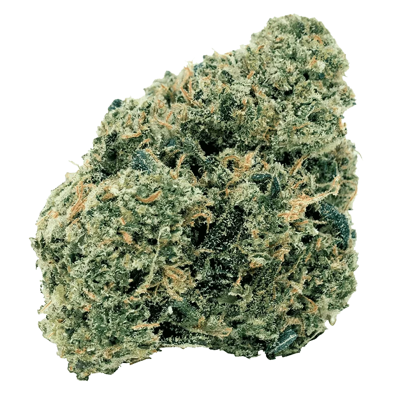 Close-up of the Northern OG Kush, showcasing its textured, green surface and compact bud structure.