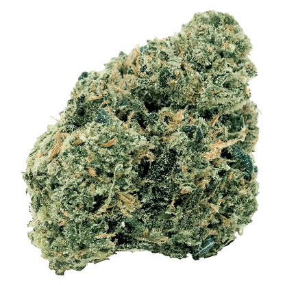 Close-up of the Northern OG Kush, showcasing its textured, green surface and compact bud structure.