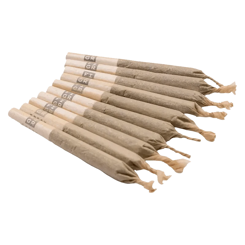 A high-angle shot of ten Chatty Kathy Pre Rolled 0.35 g pre-rolls against a plain white background, showcasing their cylindrical shape.
