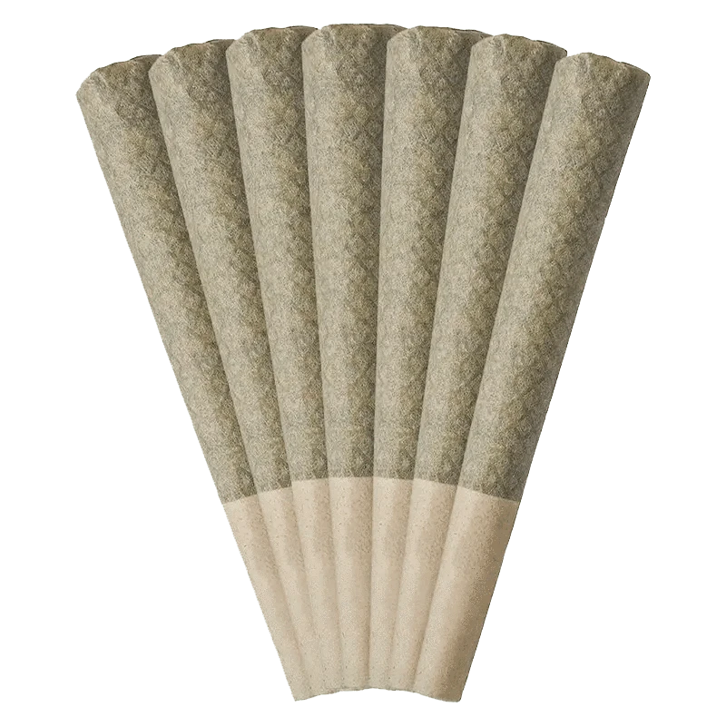 A close-up, slightly angled view of seven Guava Jam Pre Rolled 0.5 g containers displayed in a row on a white background.