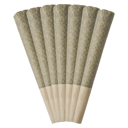A close-up, slightly angled view of seven Guava Jam Pre Rolled 0.5 g containers displayed in a row on a white background.