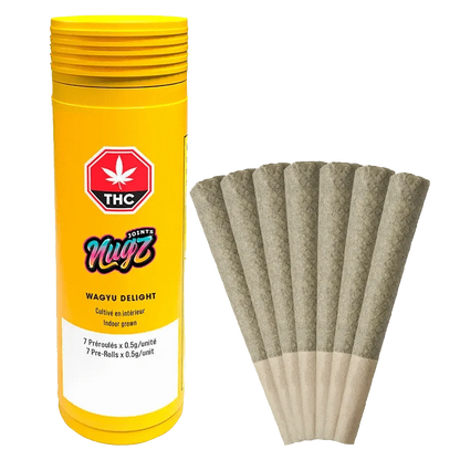Front view of seven rolled, conical Wagyu Delight Pre Rolled 0.5g pre-rolls against a bright yellow backdrop.