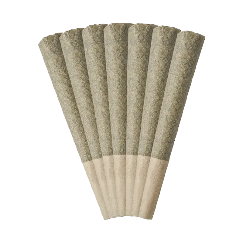 A close-up, angled view of seven Wagyu Delight Pre Rolled 0.5 g pre-rolls, neatly arranged against a plain white background.