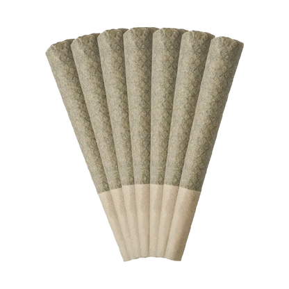 A close-up, angled view of seven Wagyu Delight Pre Rolled 0.5 g pre-rolls, neatly arranged against a plain white background.