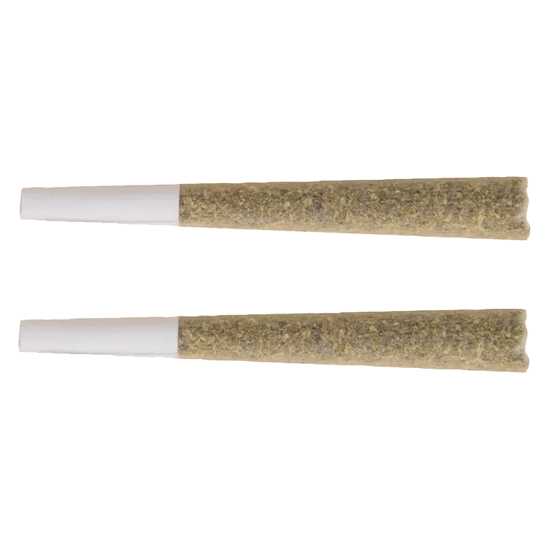 A close-up, angled view of the Black Label Pre Rolled 2 x 1 g, showcasing its cylindrical shape and textured exterior.