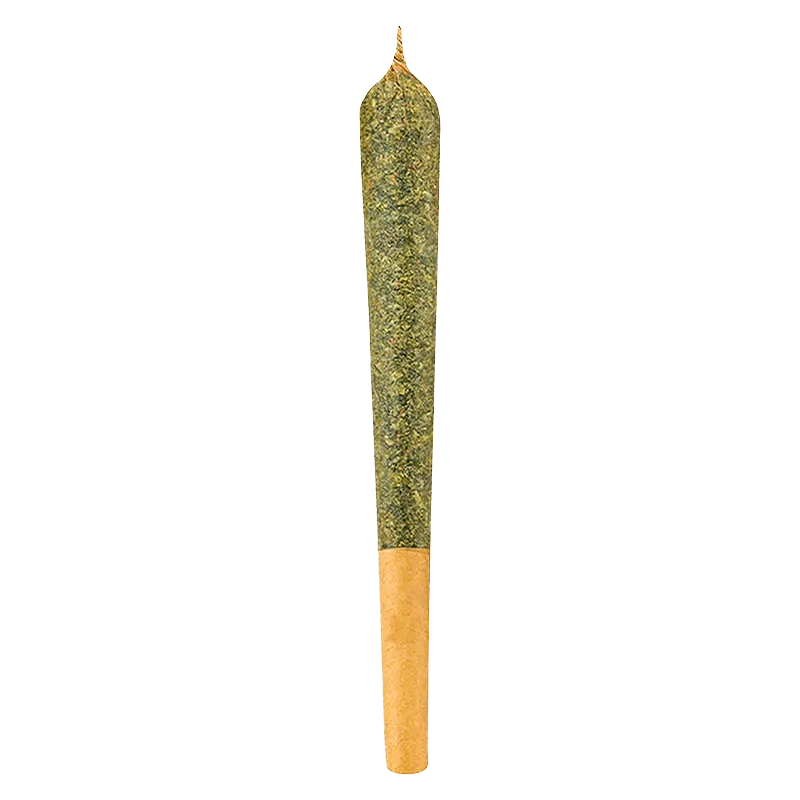 A close-up view of the Indica Pre Rolled 1 x 1 g joint, showcasing its rolled paper and textured appearance against a neutral background.