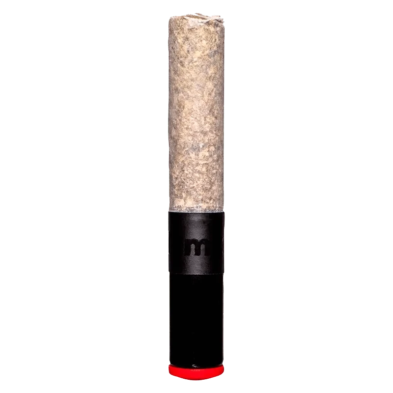 Front view of the Noir x Jealousy Cannon Pre Rolled 1 x 1 g with a textured, cylindrical form against a plain white background.