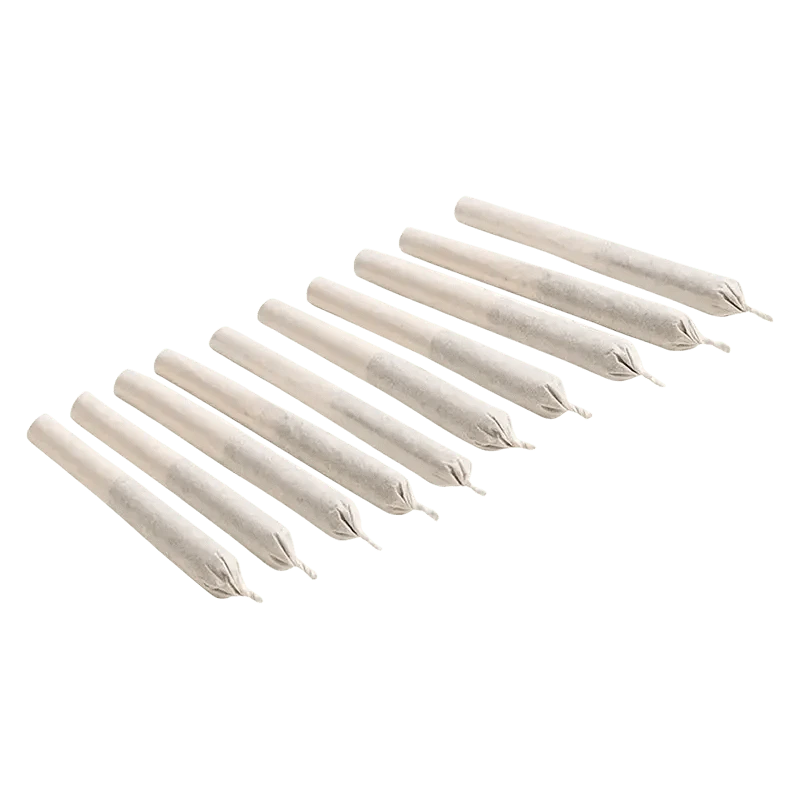 A high-angle view of ten 0.35g joints of Big White PR, arranged neatly on a white surface.