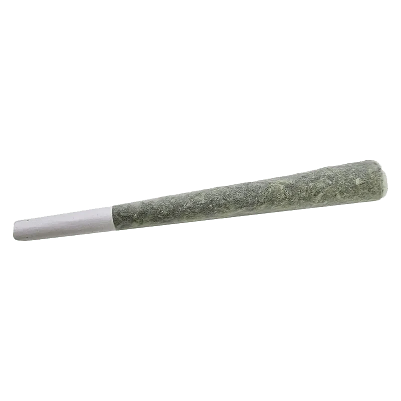 Close-up, side view of the Purple Octane Pre Rolled 1 x 1 g, showcasing its compact, cylindrical shape against a plain white background.