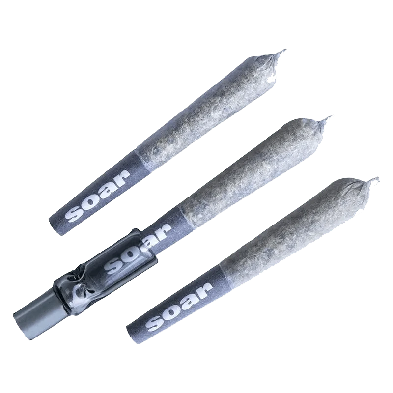 A close-up, angled view of three Brain Cake Pre Rolled 0.5g joints against a plain white background.