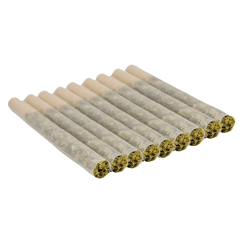 A close-up, overhead view of ten small, green CBD Super Lemon Haze Pre Rolled 0.35 g rolls arranged in a neat row.