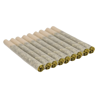 A close-up, overhead view of ten small, green CBD Super Lemon Haze Pre Rolled 0.35 g rolls arranged in a neat row.