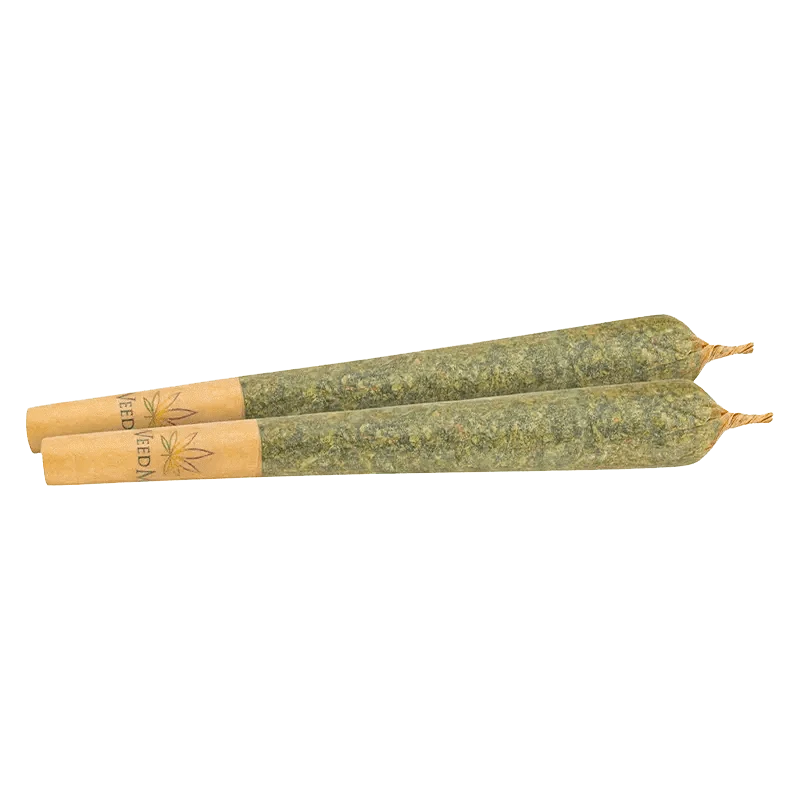 A close-up shows two 1g pre-rolls of Jack Herer PR, highlighting their cylindrical shape and earthy tone.