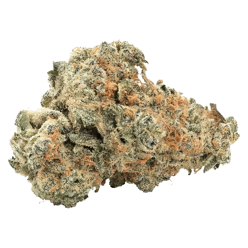 Close-up of the GMO Kush bud, displaying a dense, textured surface with a slightly green hue.