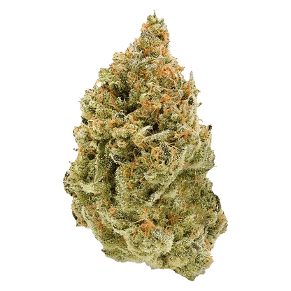 Close-up of the BC Organic Fruit Loopz with a vibrant, textured surface against a plain white background.