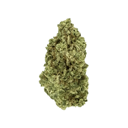 Close-up view of the Lemon Gelato bud, displaying its dense, textured surface and green coloring.