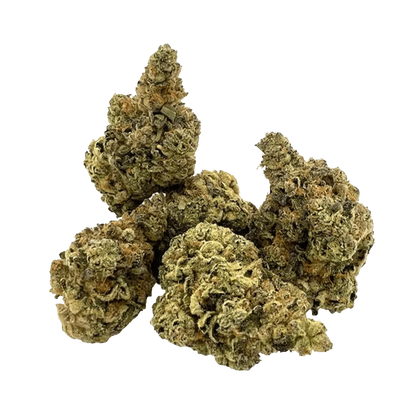 A close-up, angled view of the M*fia Funeral, showcasing its textured surface and organic shape.