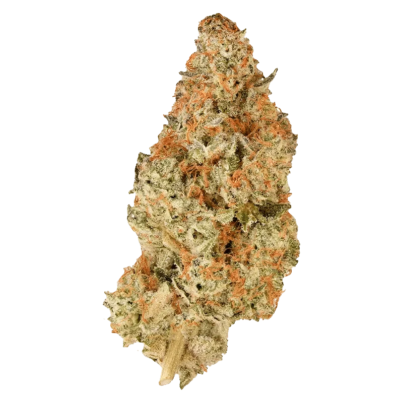 Close-up of the BC Organic Pink Drip, showing the textured, vibrant pink and green tones of the cannabis bud.