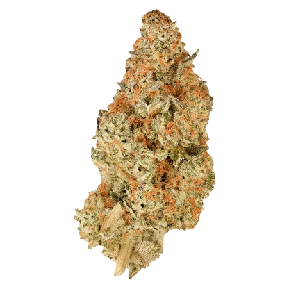 Close-up of the BC Organic Pink Drip, showing the textured, vibrant pink and green tones of the cannabis bud.