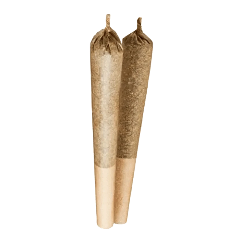 Front view of two Indica Pre Rolled 2 x 1 g pre-rolls, showcasing their slender form and pale tan color against a white background.