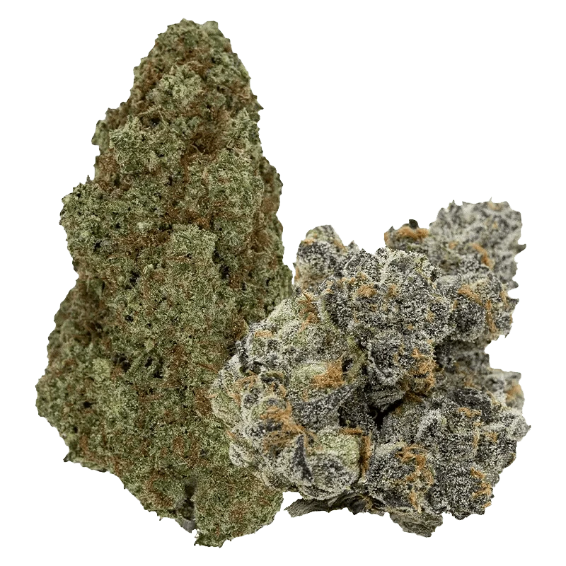 Close-up of Flavours, featuring a textured, irregularly shaped mass against a plain white background.