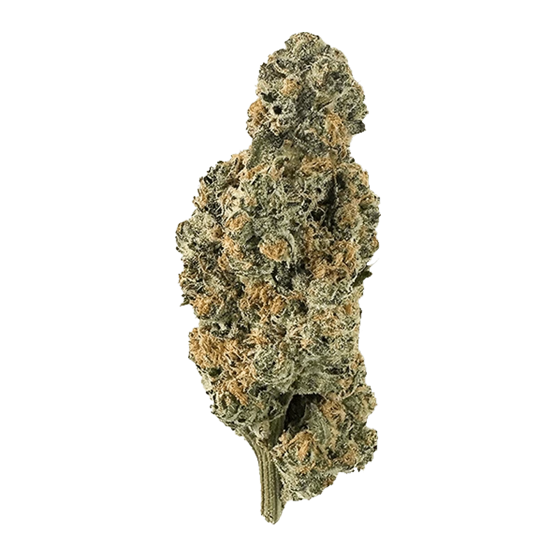 The Florist 7 g Deep Fried Cookie Dough Flower