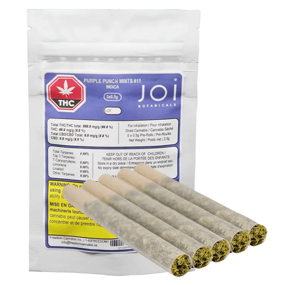 Close-up of the Purple Punch Mints #11 Pre Rolled 5 x 0.5 g package, showcasing its branding and label details against a neutral background.