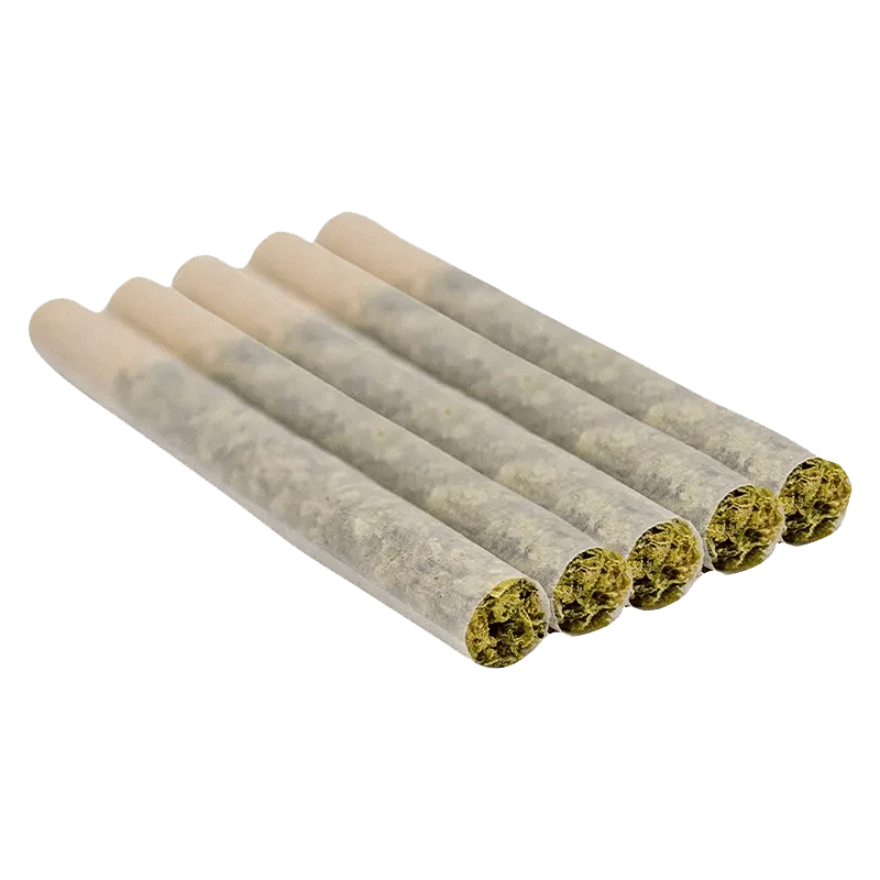 A close-up view of five Purple Punch Mints #11 Pre Rolled 0.5 g packages arranged in a horizontal row against a white background.
