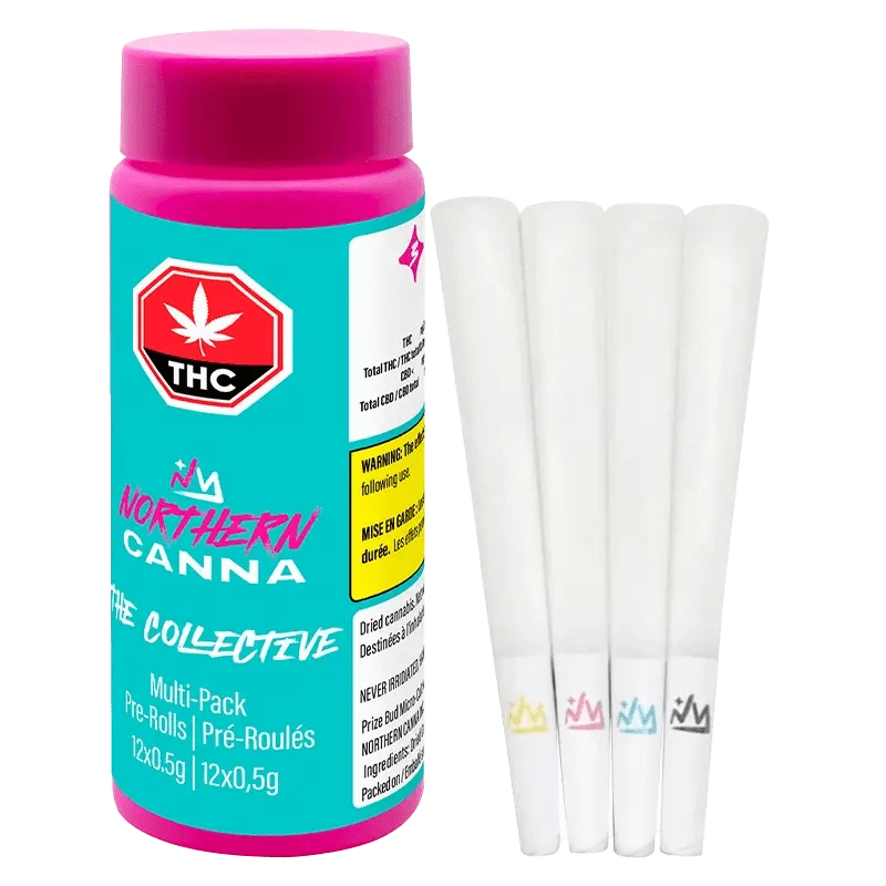 A close-up of The Collective Pre Rolled 12 x 0.5 g pre-rolled joints with colorful branding details against a neutral background.