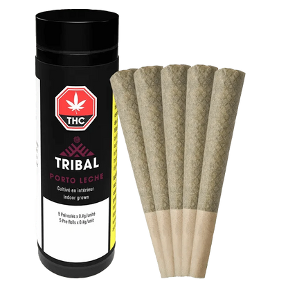 A close-up of the Porto Leche Pre Rolled 5 x 0.6 g pre-rolled joints, with labels displaying the brand and product details.