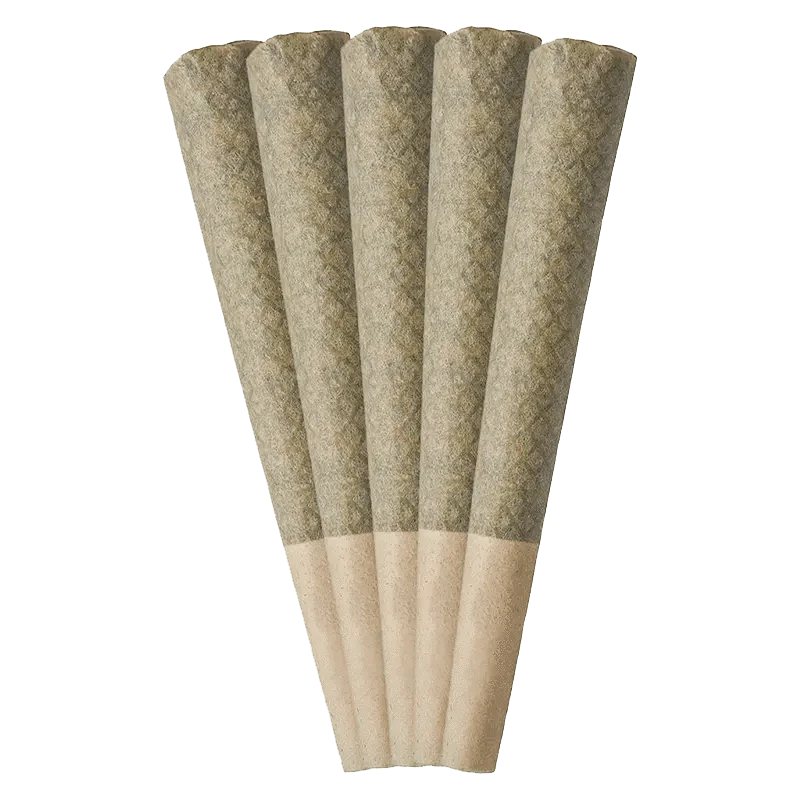 A stacked, close-up view of five 0.6g Porto Leche Pre Rolled pre-rolls, highlighting their consistent shape and color.