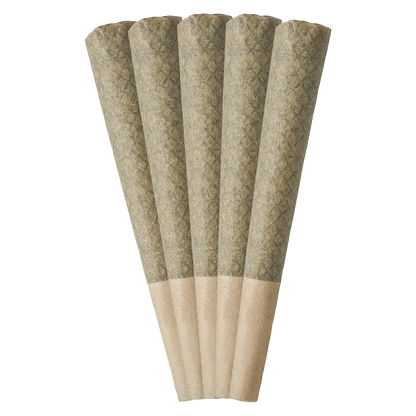 A stacked, close-up view of five 0.6g Porto Leche Pre Rolled pre-rolls, highlighting their consistent shape and color.