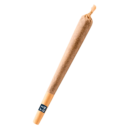 A close-up, angled view of the Chatty Kathy Pre Rolled 1 x 1 g, showing its slender form against a neutral background.