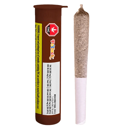 Close-up of the Beaver Tail Pre Rolled 1 x 0.5 g package featuring a green logo and black text on a white background.